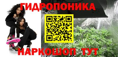 твердый Аргун