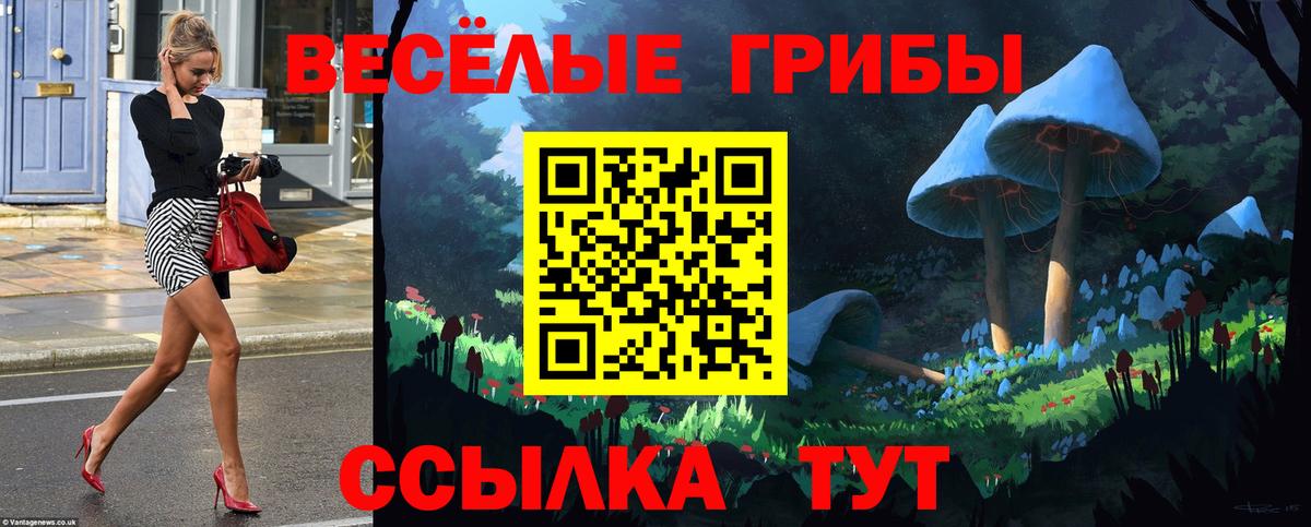Псилоцибиновые грибы мухоморы Вышний Волочёк