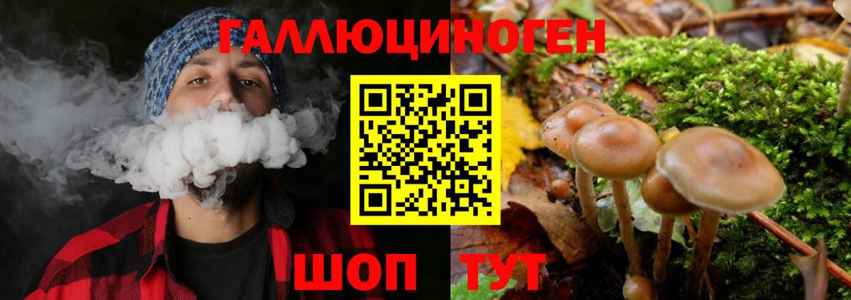 Галлюциногенные грибы Psilocybe  где продают   Вышний Волочёк  Вход с VPN 